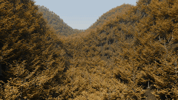 worldagent-preview.gif
